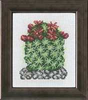 Набор для вышивания Кактус с красным цветком