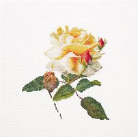 Набор для вышивания Цветение белой розы канва лён 36 ct
