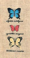 Набор для вышивания:PAPILLONS ULYSSES AUTOLYCUS CYMOTHOE SANGARIS DARDANUS Бабочки 3627