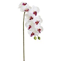 Цветок декоративный Орхидея  Fiebiger Floristik GmbH 206644-107