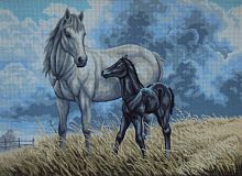 Канва жесткая с рисунком Лошадь с жеребенком - 10.553