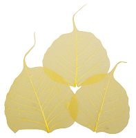 Листья сухие для декора - 8500620