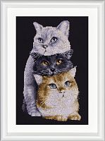 Набор для вышивания Три кота канва Aida черного цвета 14 ct Dutch Stitch Brothers DSB015A