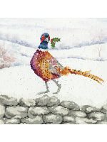 Набор для вышивания A Festive Flourish  Bothy Threads XHD135