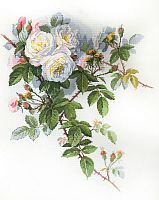 Набор для вышивания Белые розы по рисунку П. де Лонгпре Марья Искусница 06.002.45