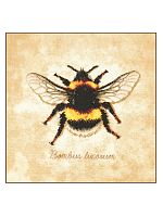 Набор для вышивания "Bombus Iocorum"  