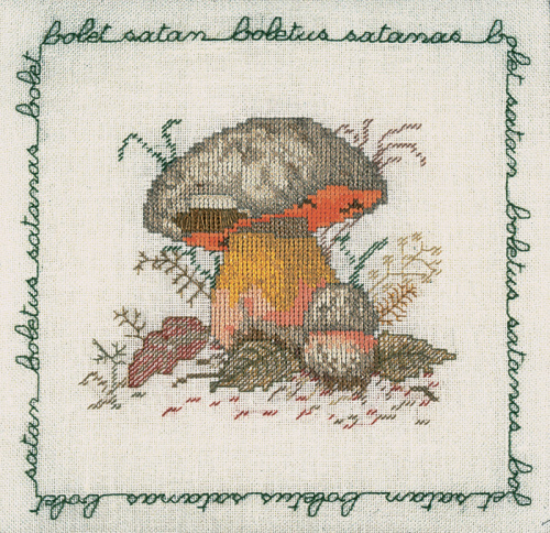 Набор для вышивания:BOLET SATAN Сатанинский гриб 1686 смотреть фото