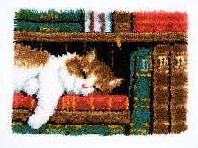Набор для вышивания коврика Кот на книжной полке VERVACO PN-0149896