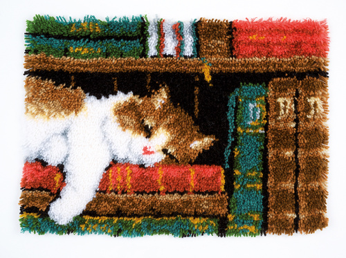 Набор для вышивания коврика Кот на книжной полке VERVACO PN-0149896 смотреть фото