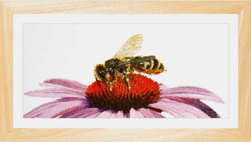 Набор для вышивания Пчела на эхинацее  канва лен 36 ct смотреть фото