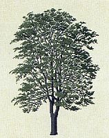 Набор для вышивания Дерево  Haandarbejdets Fremme 30-6033