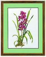 Набор для вышивания Красная орхидея 14-155 Eva Rosenstand