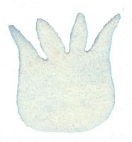 Набор форм Цветы-букет из войлока Белый Ангел 11 6 см-х4 х6 шт.100% шерсть не окра VN0107