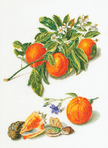 Набор для вышивания Апельсины и мандарины  канва лён 36 ct смотреть фото