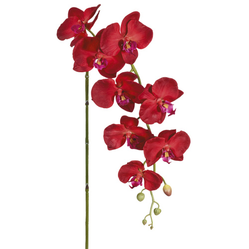 Цветок декоративный Орхидея  Fiebiger Floristik GmbH 206630-505 фото