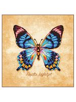 Набор для вышивания "Papilio laglazei"