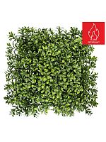 Трава декоративная "Лиственница"