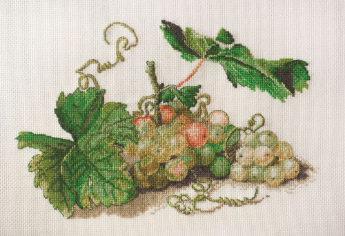 Набор для вышивания Ветка винограда по рисунку Ф. Толстого Марья Искусница 06.001.18 смотреть фото
