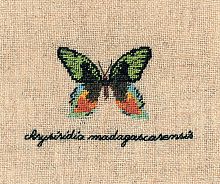 Набор для вышивания:PAPILLON CHRYSIRIDIA Бабочка CHRYSIRIDIA 3624