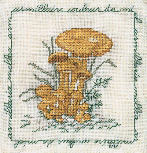 Набор для вышивания:ARMILLAIRE COULEUR DE MIEL Опёнок 1685 смотреть фото