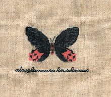 Набор для вышивания:PAPILLON ATROPHANEURA Бабочка ATROPHANEURA 3625