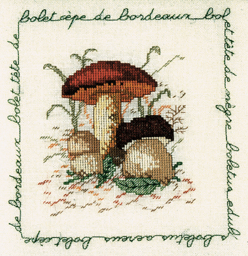 Набор для вышивания:BOLET CEPE DE BORDEAUX Белый гриб 1682 смотреть фото