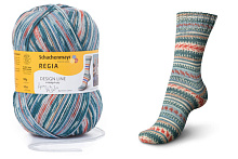 Design Line Дизайн Лайн пряжа Schachenmayr Regia 4 нитки MEZ 9801270 Дизайн от Arne & Carlos 