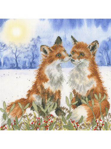 Набор для вышивания Winter Solstice  Bothy Threads XHD136 смотреть фото