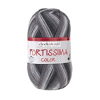Пряжа Fortissima Socka 4-fach color 75% шерсть 25% полиамид 420 м 100 г Austermann 90028-2434
