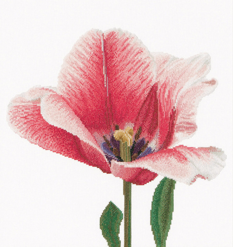 Набор для вышивания Розовый тюльпан канва лён 36 ct THEA GOUVERNEUR 518 смотреть фото