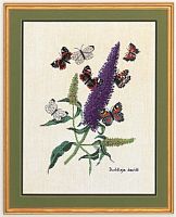 Набор для вышивания Веселые бабочки  Eva Rosenstand 12-739